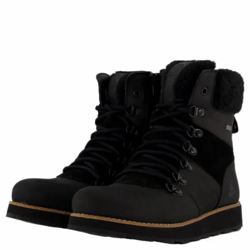 Ariel F Black