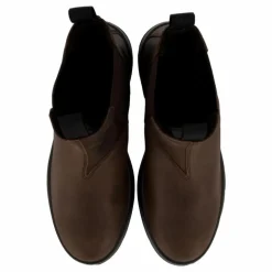 Camel Picadilly Gtx