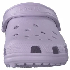 Classic Lavender