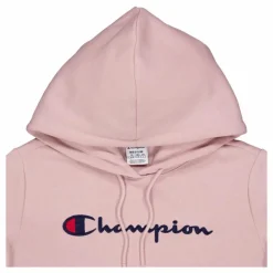 Hooded Sweatshirt Pale Hauve