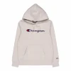 Hooded Sweatshirt Silver Lining