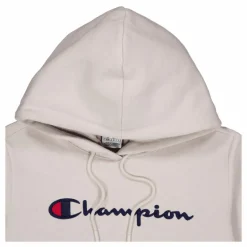 Hooded Sweatshirt Silver Lining