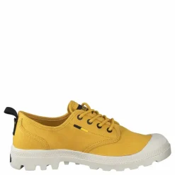 Pampa Ox Htg Supply Spicy Mustard