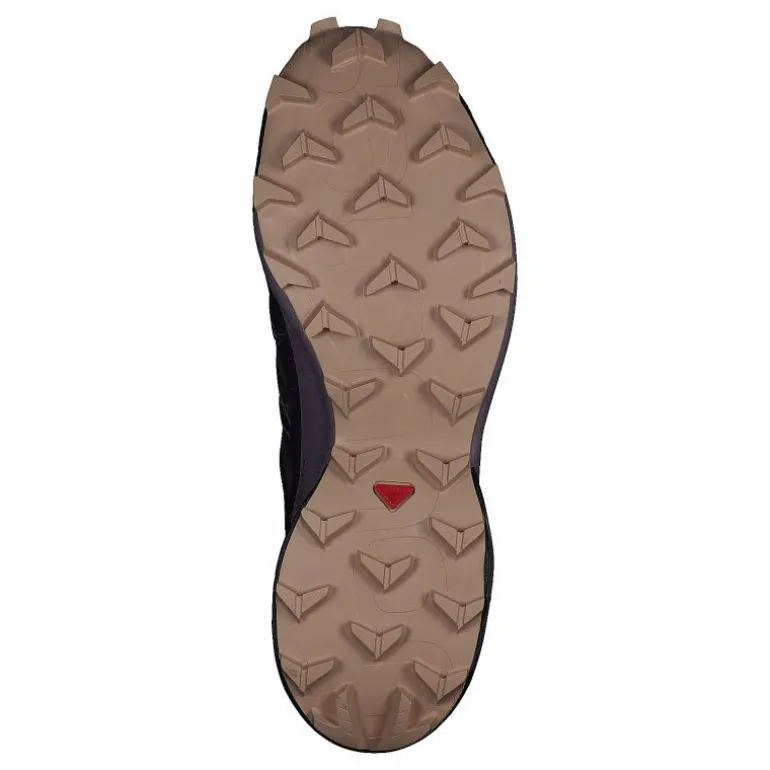 Speedcross 5 Gtx W Mysterioso/quail/sirocco